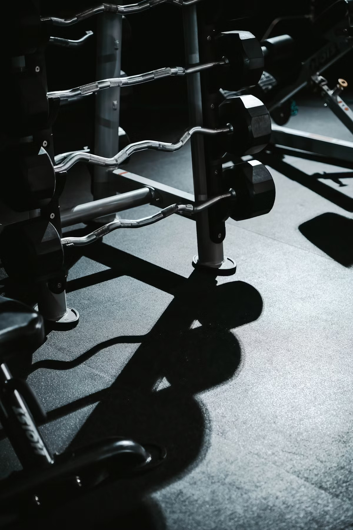 Private Gym For Trainers